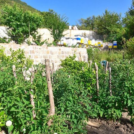 Verbalj Apartment With Swimming Pool Kotor Exterior foto